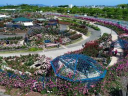 エコパーク水俣 バラ園