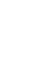 256